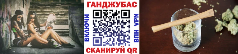 где найти   Александровск  Шишки марихуана гибрид 